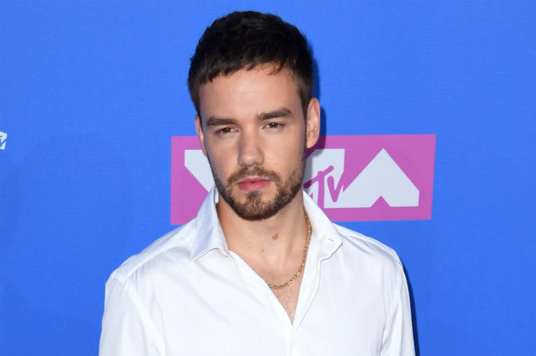 Liam Payne 8/22/2018 - Liam Payne arriving at the MTV Video Music Awards 2018, Radio City, New York.