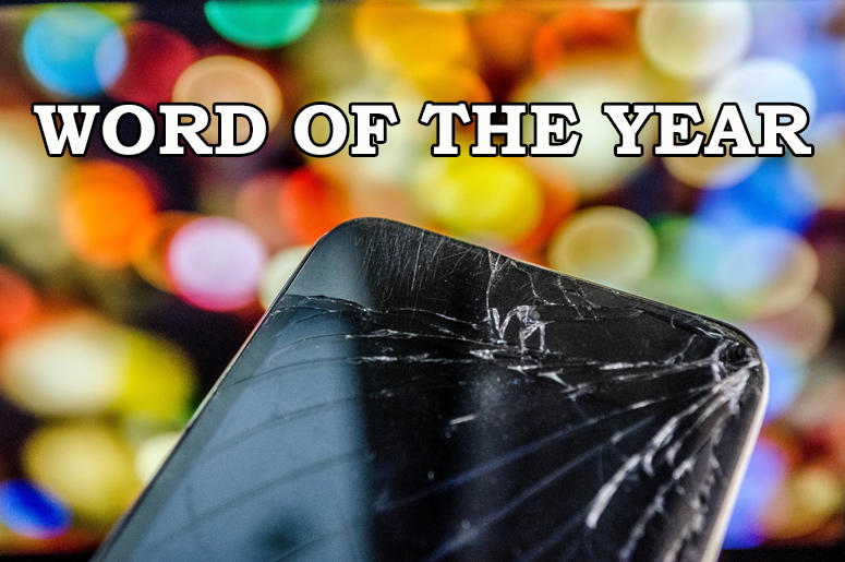 word of the year word of the year