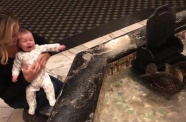 This baby did NOT like the ducks...