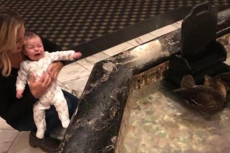 This baby did NOT like the ducks...