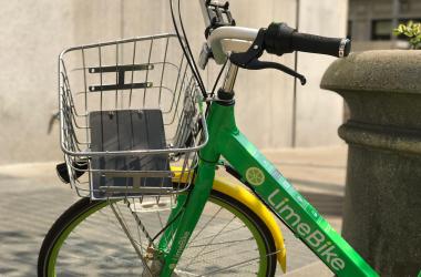 ╟ amazon buildings or the growing variety of citrus-colored