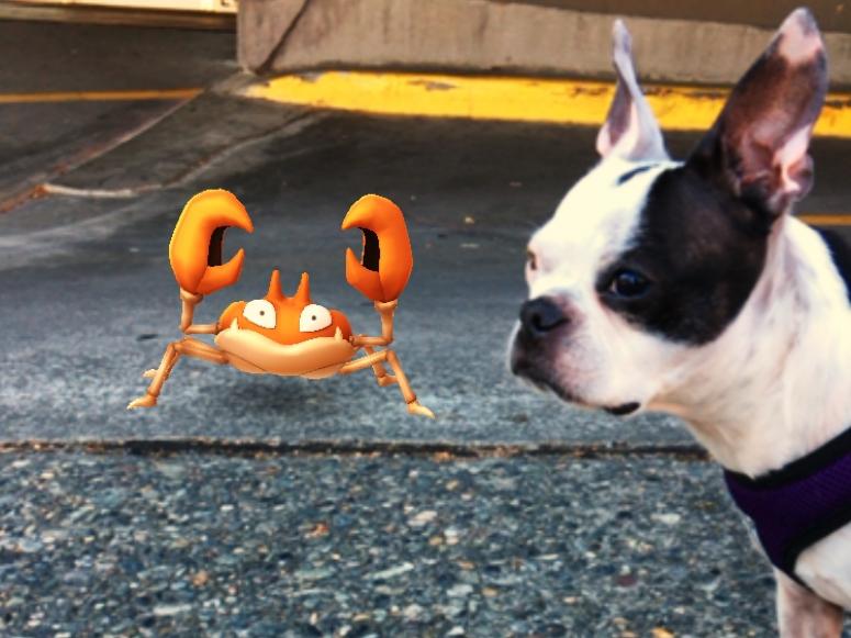 Crabby Crabby