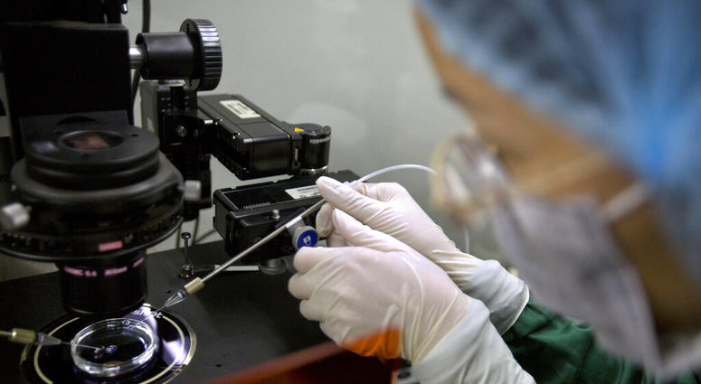 A researcher installs a fine glass pipette into a microscope in preparation for injecting embryos with Cas9 protein and PCSK9 sgRNA at a lab in Shenzhen in southern China's Guandong province. (AP Photo/Mark Schiefelbein, File) A researcher installs a fine glass pipette into a microscope in preparation for injecting embryos with Cas9 protein and PCSK9 sgRNA at a lab in Shenzhen in southern China's Guandong province. (AP Photo/Mark Schiefelbein, File)