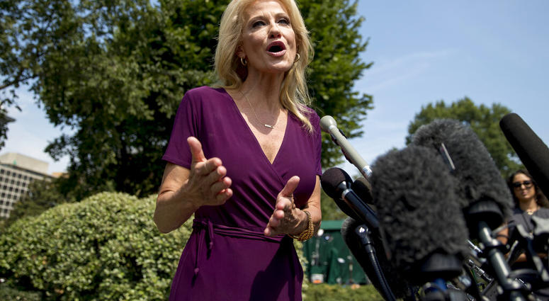 Counselor to the President Kellyanne Conway speaks to members of the media outside of the West Wing on the North Lawn of the White House in Washington, Wednesday, Aug. 7, 2019. (AP Photo/Andrew Harnik)