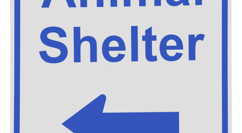 Animal Shelter Sign