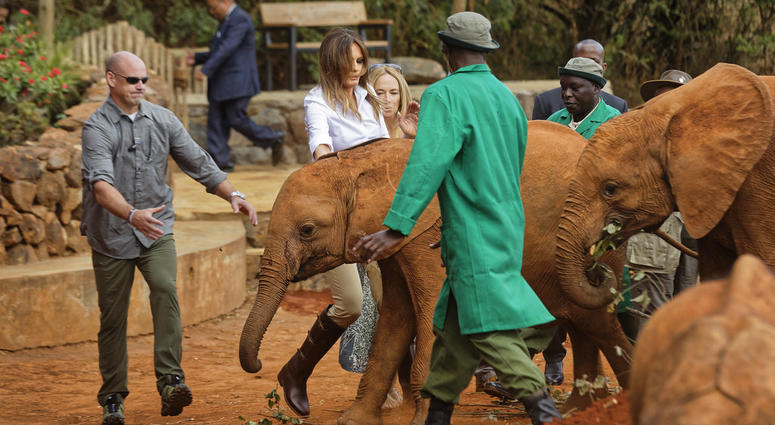 A Secret Service agent, left, steps forward to protect U.S. first lady Melania Trump as she steps backwards after being nudged by a baby elephant she petted, at the David Sheldrick Wildlife Trust elephant orphanage in Nairobi, Kenya Friday, Oct. 5, 2018.