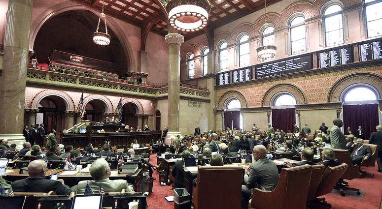 Members of the New York state Assembly at the state Capitol. (AP Photo/Hans Pennink)