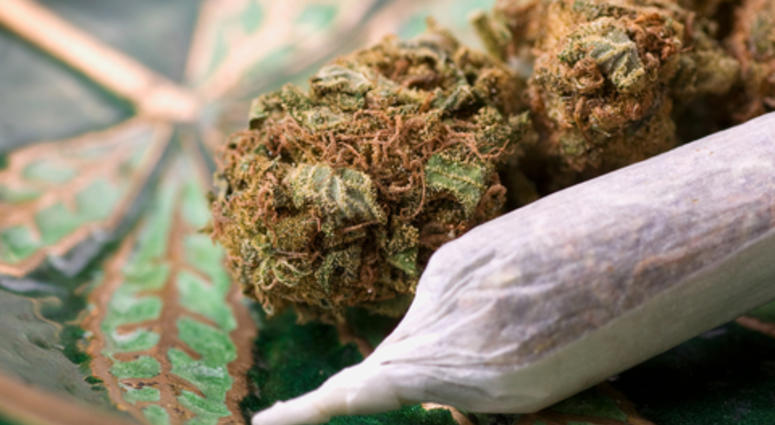 Closeup of dried marijuana and handmade cigarette in ashtray