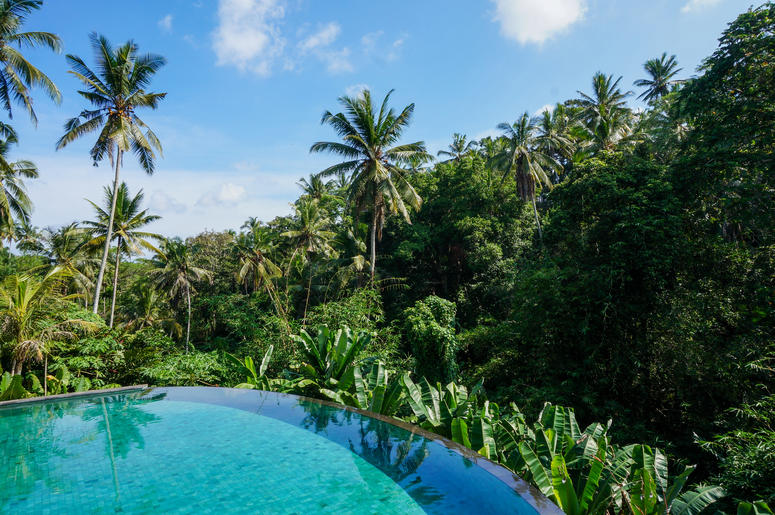 Beautiful pool with junge views in Ubud, Bali Beautiful pool with junge views in Ubud, Bali