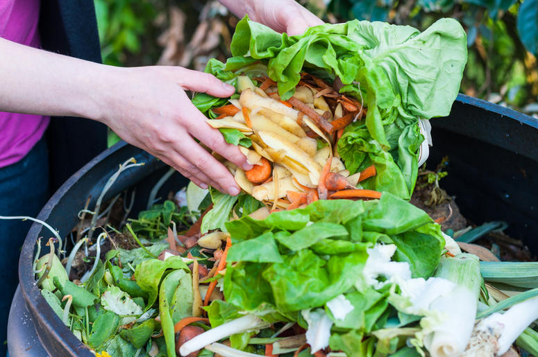 composting your kitchen waste composting your kitchen waste
