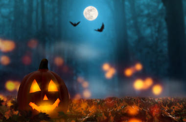Halloween picture Halloween picture