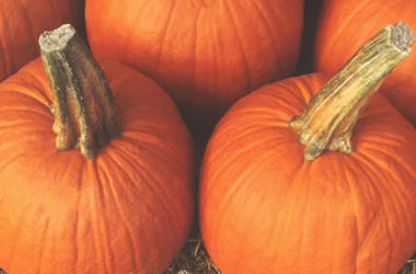 Pumpkins Pumpkins