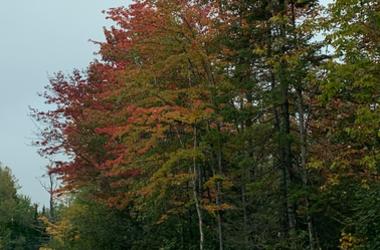 Fall in Wisconsin Fall in Wisconsin