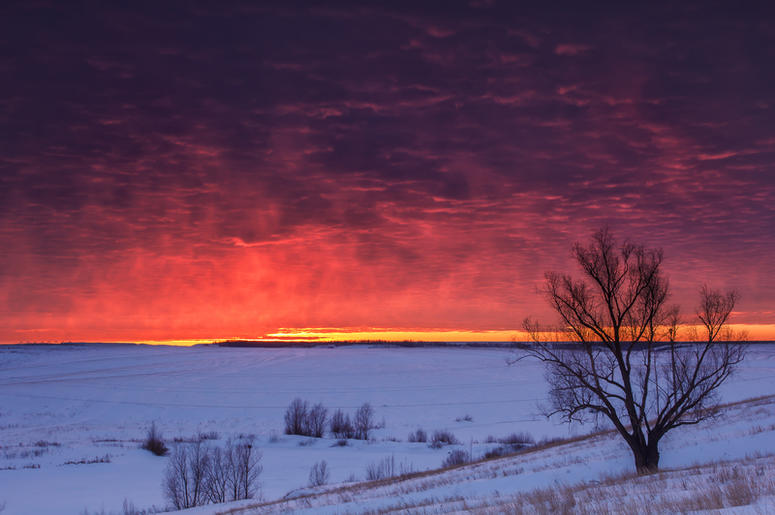 Happy Winter Solstice!
