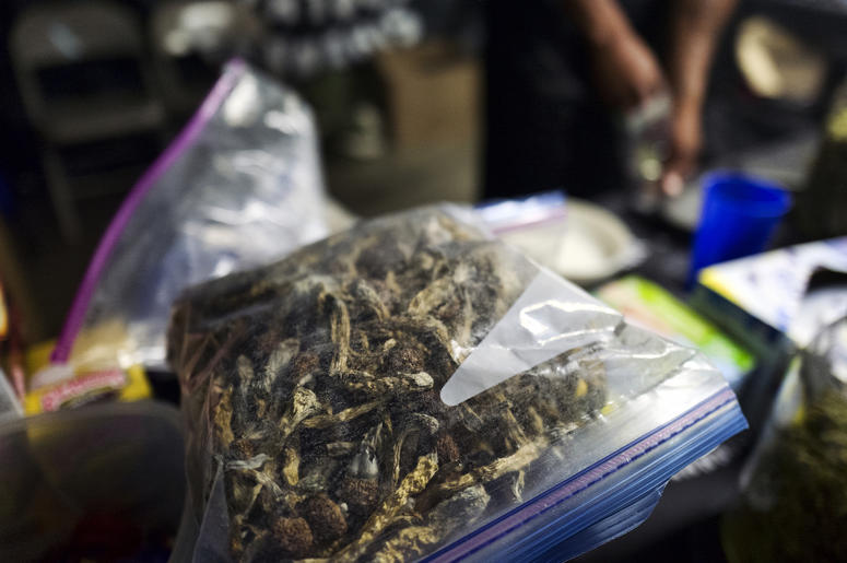 A vendor bags psilocybin mushrooms at a pop-up cannabis market in Los Angeles on Monday, May 6, 2019. Voters decide this week whether Denver will become the first U.S. city to decriminalize the use of psilocybin, the psychedelic substance in "magic mushro