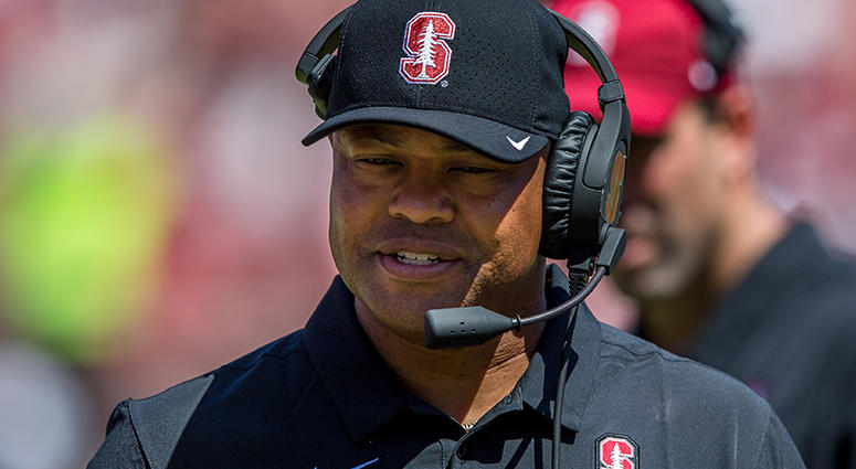 David Shaw