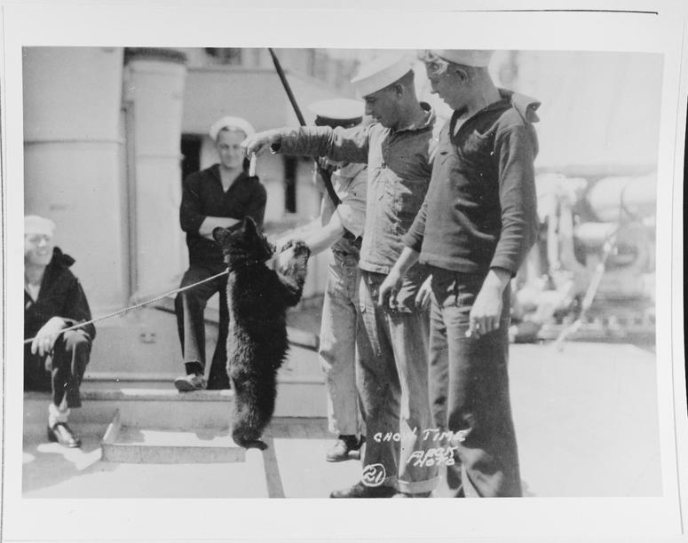 United States Navy personnel with their bear cub mascot on board a United States Navy ship sometime during the nineteen-twenties. NavyBearwithSailors