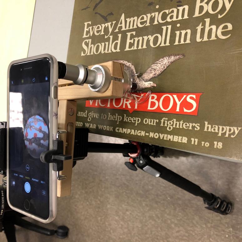 Smithsonian Digitization
