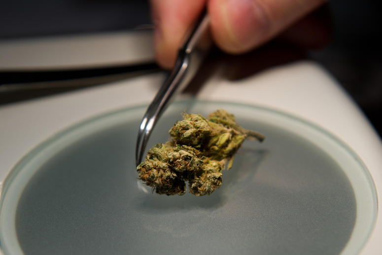 Halent Laboratories is a medical marijuana testing facility in West Sacramento, California.