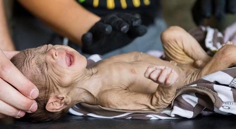 GRM volunteer Katie Batrouney works with a severely malnourished infant. This was a pretty common sight during Mosul since ISIS made serious efforts to control all food and water entering the city.