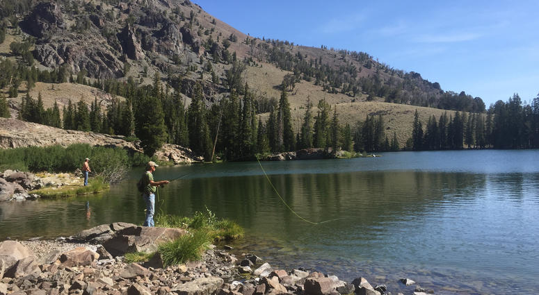Fly Fishing
