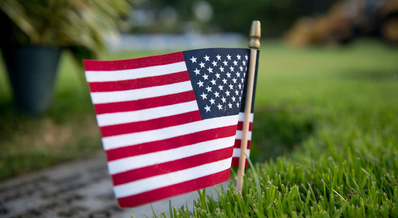 Flag