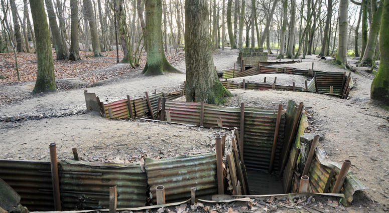 Reconstructed WWI trenches in forest Elevated view of the trench system at Sanctuary Wood, east of Ypres in Belgium