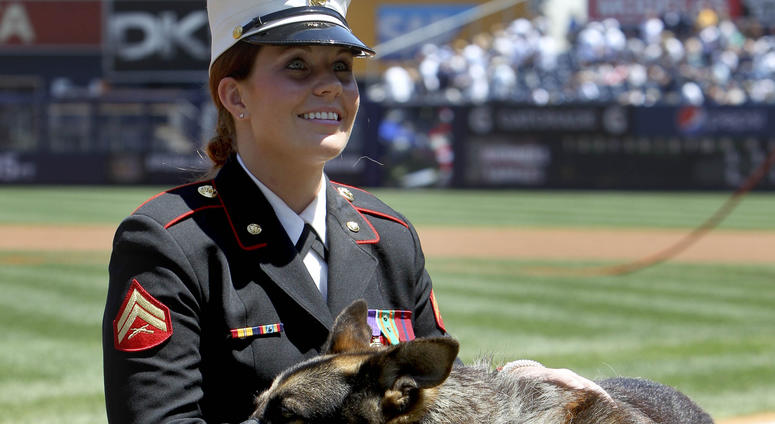 In a May 13, 2012 file photo, former Marine Cpl. and Purple Heart recipient Megan Leavey and combat dog Sgt. Rex participate in a ceremony before a baseball game between the New York Yankees and the Seattle Mariners at Yankee Stadium in New York.