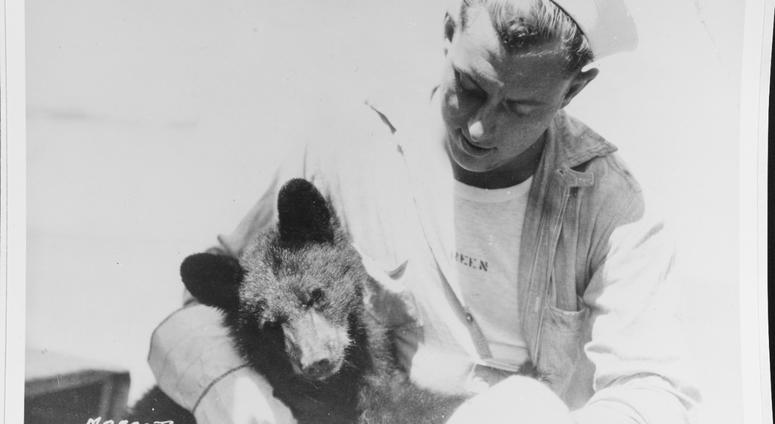 A United States Navy man named Green with a pet bear cub on board a United States Navy ship, sometime during the nineteen-twenties. NavyBearwithSailor