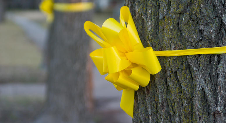 Yellow ribbon