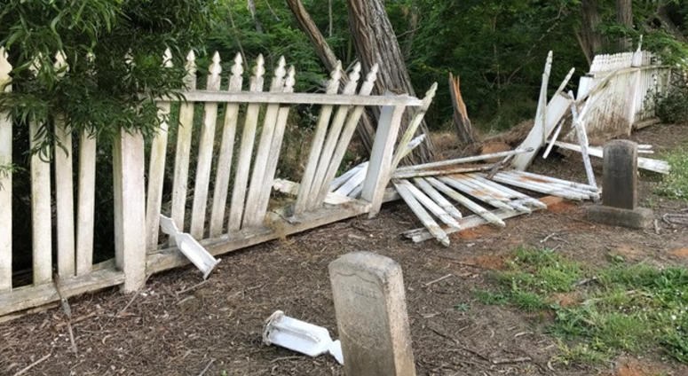 A fence in partially in pieces as trees overgrow the neglected Mare Island Naval Cemetery fence