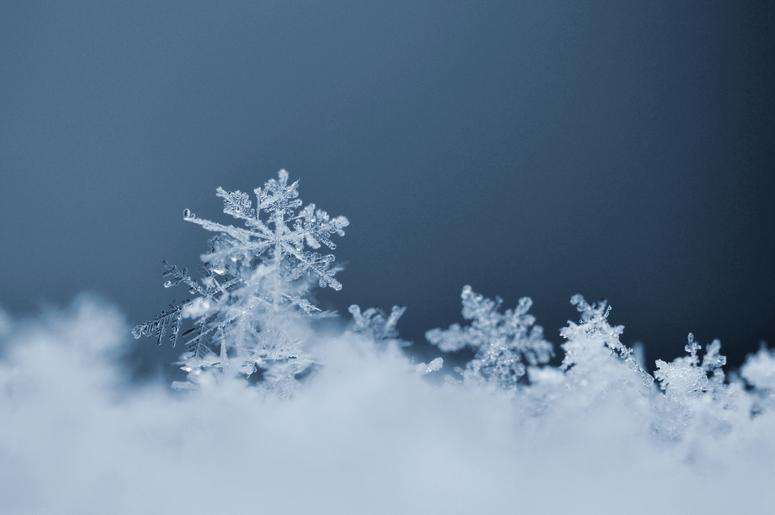Snowflake. Macro photo of real snow crystal Snowflake. Macro photo of real snow crystal