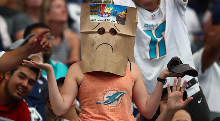 Dolphins Fan Dolphins Fan