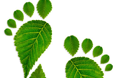 Green footprint
