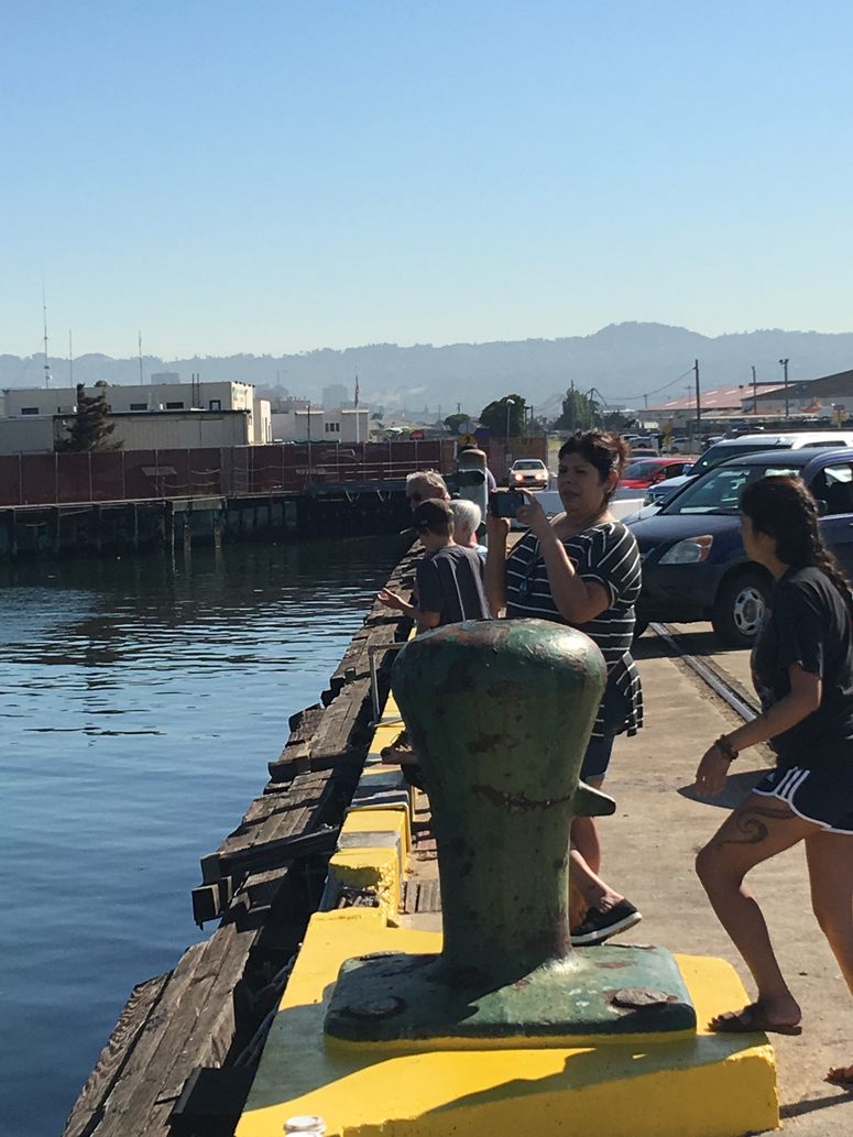 Whale Watchers Keep An Eye Out For "Allie" The Whale Whale Watchers Keep An Eye Out For "Allie" The Whale
