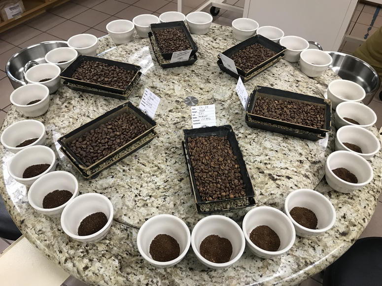 F.Gaviña & Sons Coffee Cupping Room F.Gaviña & Sons Coffee Cupping Room (Photo credit: Foodie Chap/Liam Mayclem)