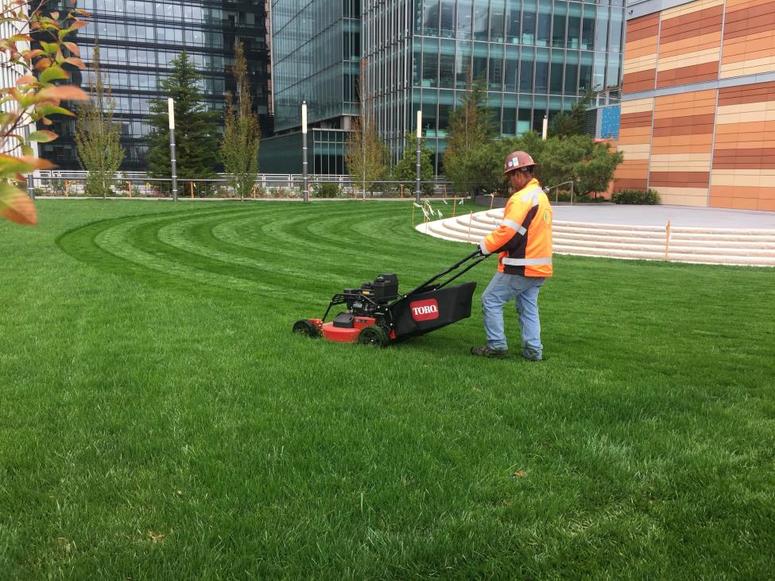 A worker puts finishing touches on the Salesforce Transit Center Rooftop Garden A worker puts finishing touches on the Salesforce Transit Center Rooftop Garden