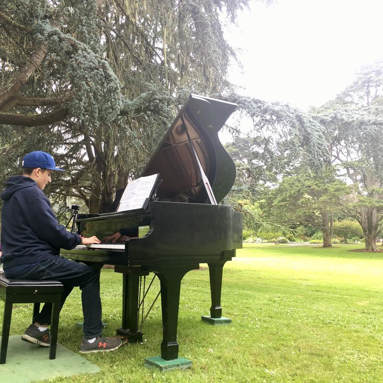 San Francisco Flower Piano San Francisco Flower Piano