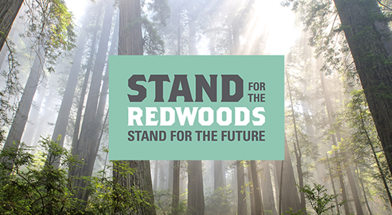 Celebrate Redwoods at Earth Day Festival Celebrate Redwoods at Earth Day Festival