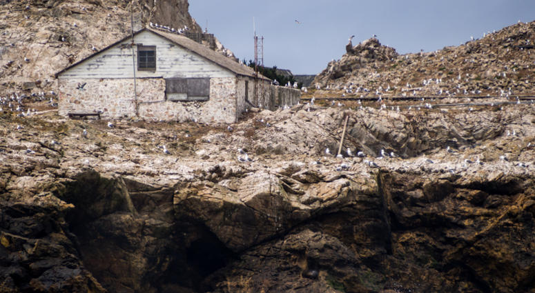 A view of a weather-beaten building on the Farallon Islands off the coast of California. A view of a weather-beaten building on the Farallon Islands off the coast of California.