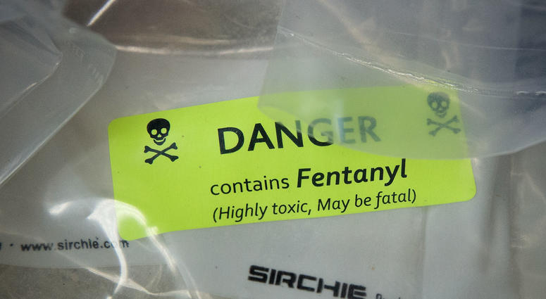 Bags of heroin, some laced with fentanyl, are displayed before a press conference regarding a major drug bust, at the office of the New York Attorney General, September 23, 2016 in New York City. Bags of heroin, some laced with fentanyl, are displayed before a press conference regarding a major drug bust, at the office of the New York Attorney General, September 23, 2016 in New York City.