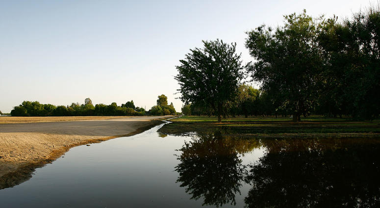 Irrigation water flows through an almond grove on May 8, 2008 near Bakersfield, California. Irrigation water flows through an almond grove on May 8, 2008 near Bakersfield, California.