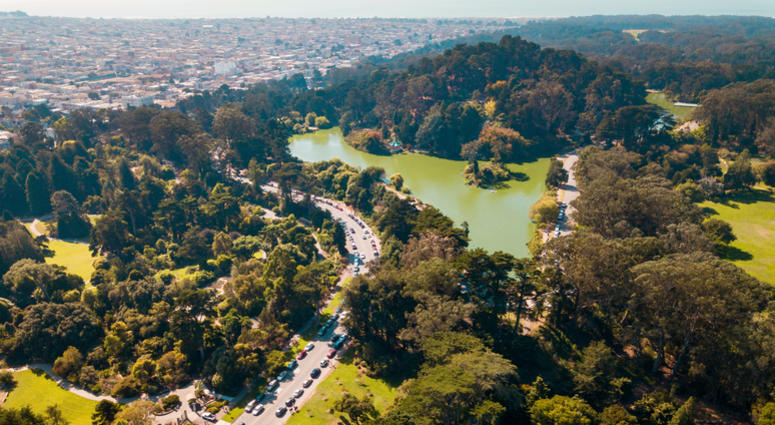 Golden Gate Park Golden Gate Park