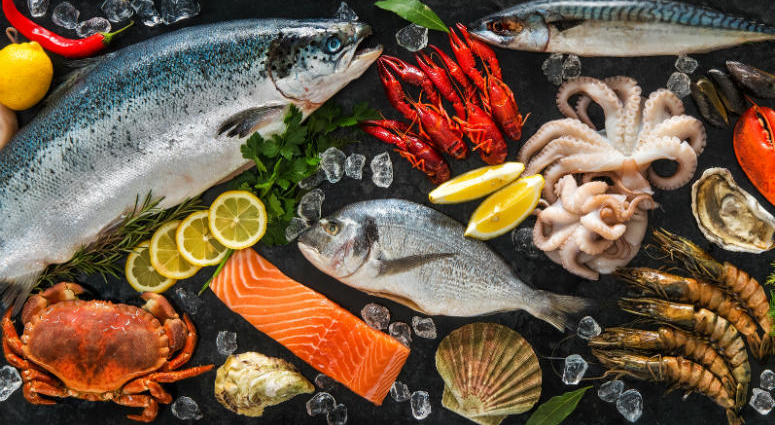 Various Fish and Seafood Various Fish and Seafood (Photo credit: ©Alexander Raths)