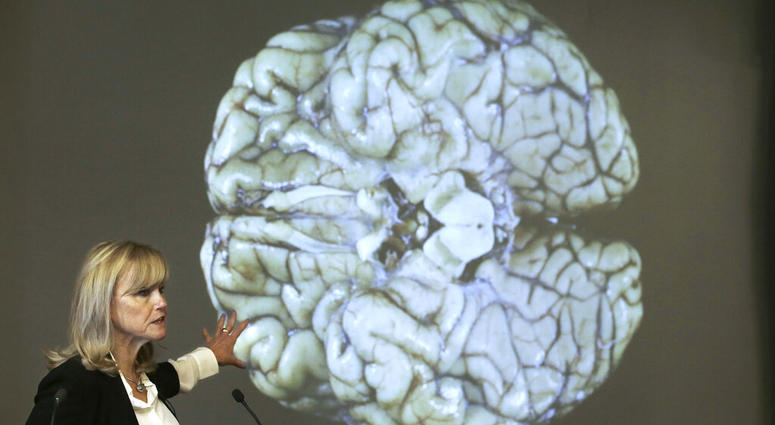 Ann McKee, director Boston University's center for research into the degenerative brain disease chronic traumatic encephalopathy, or CTE, addresses an audience on the school's campus