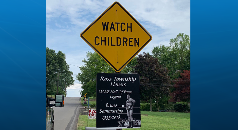 Ross Twp. sign Honoring Bruno Sammartino