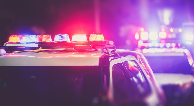 Police cars lined up at a checkpoint