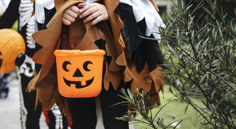 Trick_Or_Treat_Bag Trick_Or_Treat_Bag