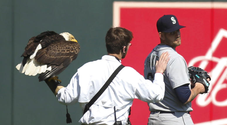 Eagle lands on James Paxton Eagle Baseball