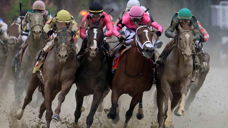 War of Will Maximum Security War of Will (second from left) gets bumped by Maximum Security (third from left) during the 2019 Kentucky Derby.